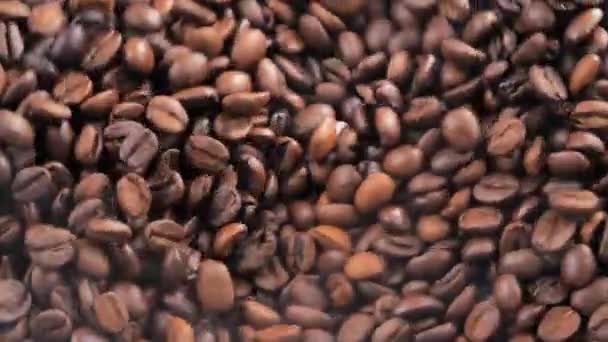 Roasted coffee beans bouncing slowly on a board - Footage, Video