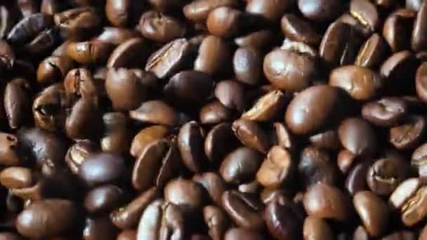Жареные кофейные зерна медленно прыгают на доске - Кадры, видео