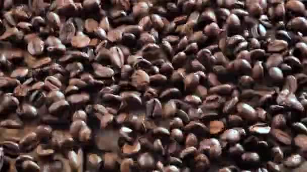 Granos de café tostados rebotando lentamente en una tabla - Imágenes, Vídeo