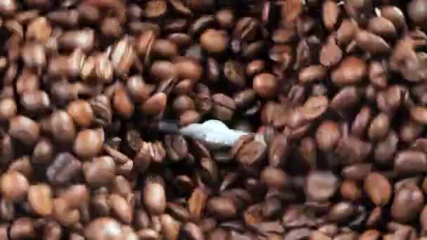 Chicchi di caffè tostati ruotano lentamente in un macinino da caffè - Filmati, video