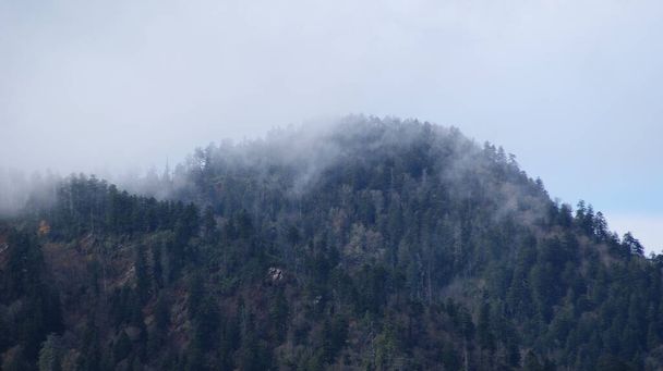 Pohled z panoramatu na mlhavý vrchol hory v národním parku Great Smoky Mountains na podzim. TN, USA - Fotografie, Obrázek