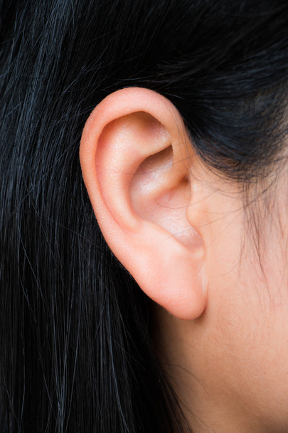 Women ear - Foto, imagen