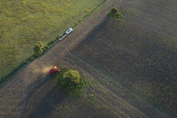 Θεριστής στην Pampas Countryside, Αεροφωτογραφία, επαρχία La Pampa, Αργεντινή. - Φωτογραφία, εικόνα