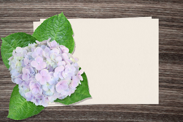 Hydrangea flowers and and paper on wood background - Photo, Image