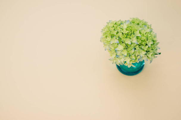 A closeup of french hydrangea buds in a vase on a light brown surface with space for text - Fotó, kép
