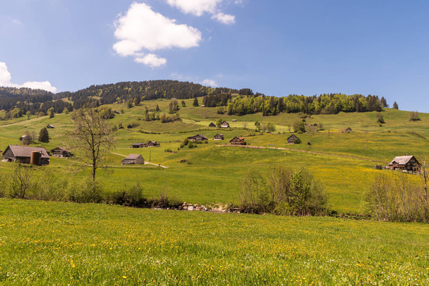 Tájkép Toggenburgban zöld legelőkkel és tanyasi házakkal, Canton St. Gallen, Svájc - Fotó, kép