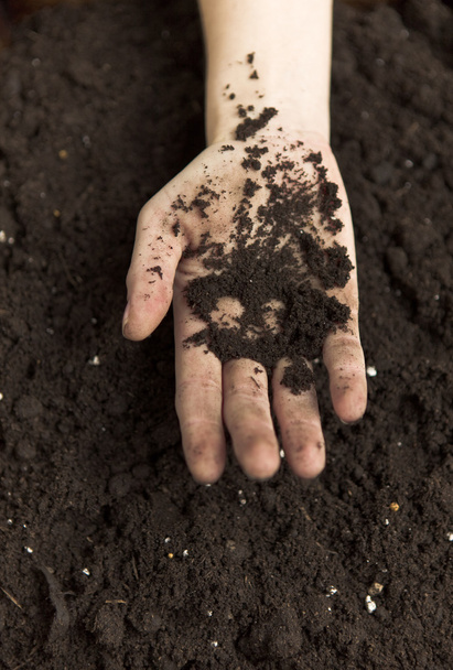 Hands Holding Dirt - Фото, изображение