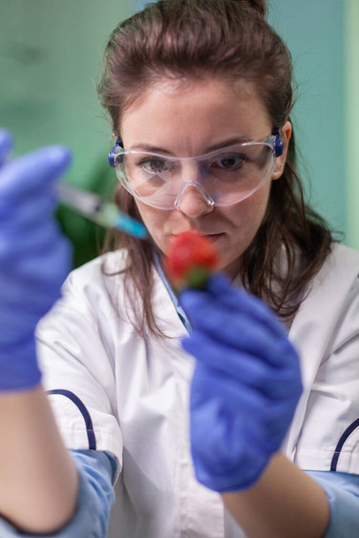Gros plan d'un chercheur biochimiste qui injecte de l'ADN liquide à des fraises saines - Photo, image