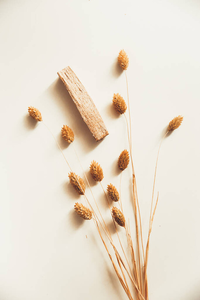 palo santo and dried flowers. the layout of incense - Foto, Bild