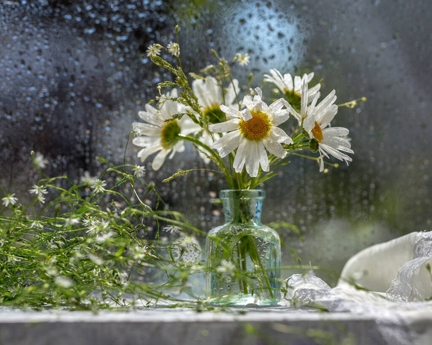 Букет квітів ромашки в скляній вазі на підвіконні, мокре вікно після дощу і проміння сонця
. - Фото, зображення