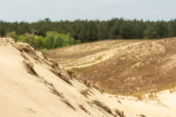 Vue panoramique sur les dunes de sable de Nida, Klaipeda, Lituanie, Europe. Curonian Spit and Curonian Lagoon. Baltique Dunes sur la mer Baltique. Patrimoine de l'Unesco - Photo, image