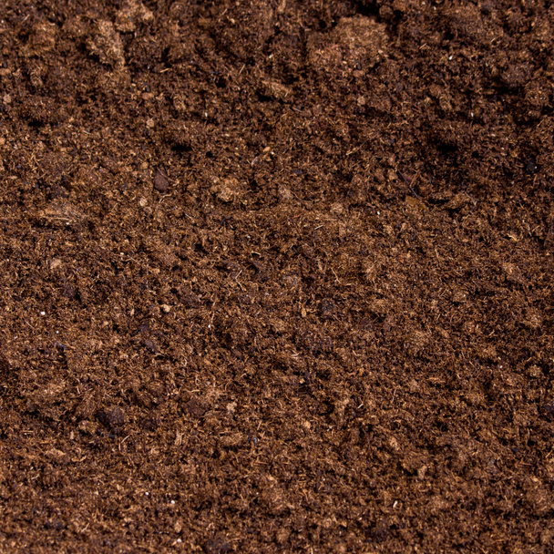 peat moss soil - Foto, imagen