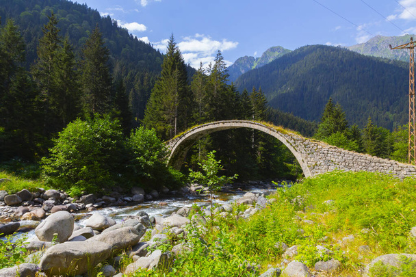 古い歴史的な石造りの橋と自然景観 - 写真・画像