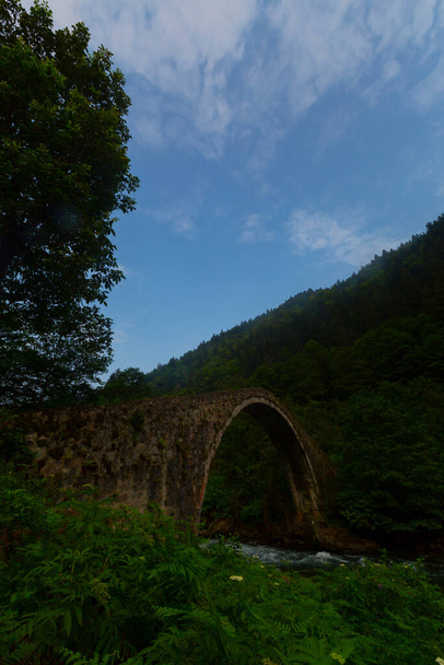 Vanha historiallinen kivi siltoja ja luonto maisemia - Valokuva, kuva