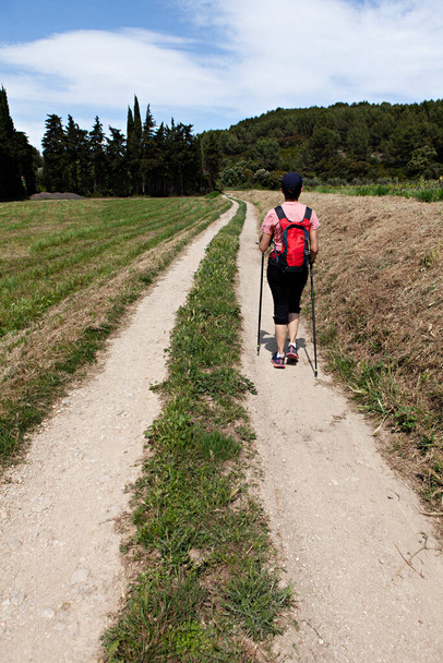 woman walking on the path - Foto, Imagem