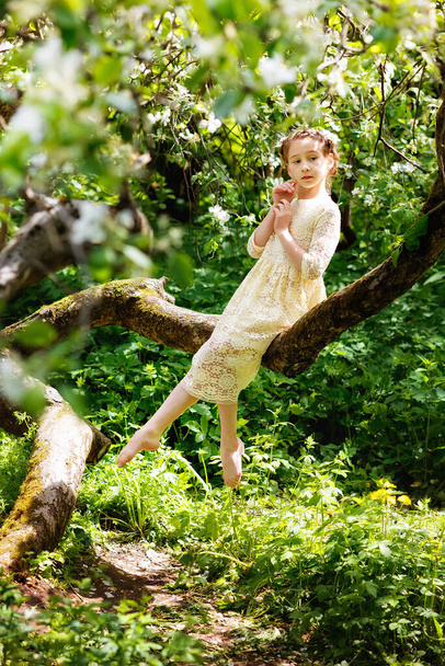 A girl in a light lace dress sits on a tree branch in the park. - Foto, Imagem