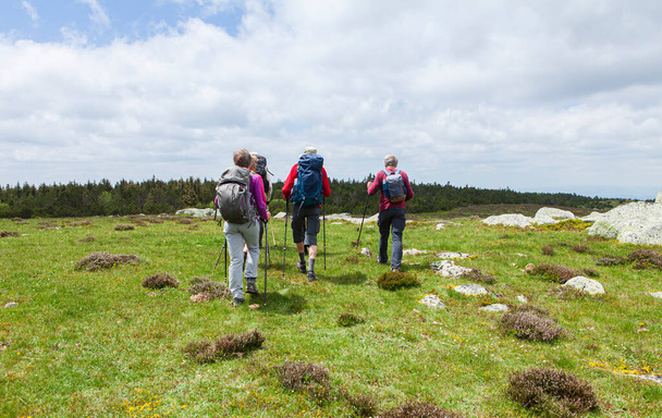 group of hikers walking on the path - Photo, Image