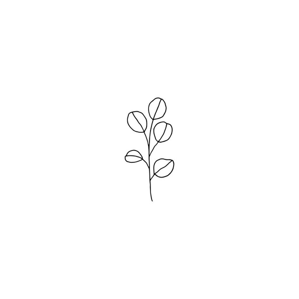 Floral black and white icons, vector graphics. Hand drawn branch with leaves in minimal modern style. - Vektor, obrázek