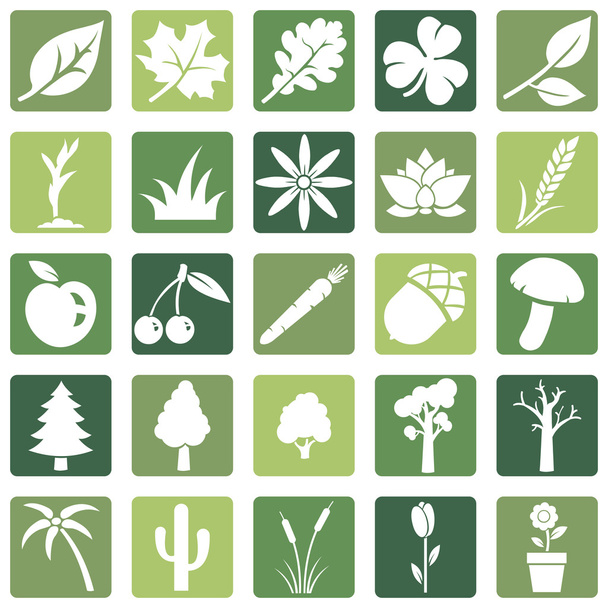 Set of Plants Icons - Vector, Image