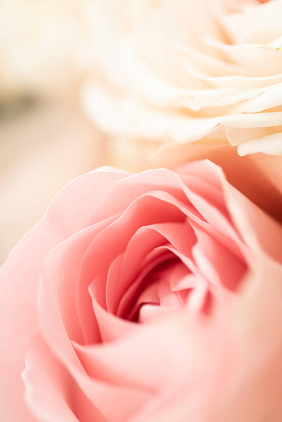 Розовый цветок в саду, цветочная красота и ботанический фон для свадебного приглашения и поздравительной открытки, концепции природы и окружающей среды - Фото, изображение