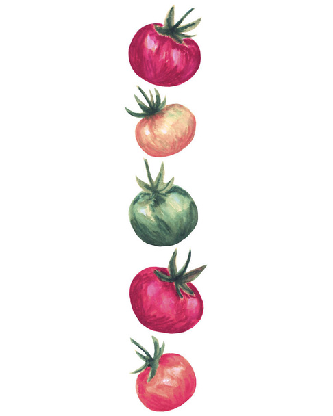 Ilustração de tomate para tecido e design têxtil, papel de parede, embalagem, design de alimentos, decoração. - Foto, Imagem