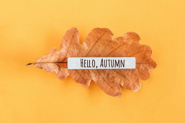 Hello autumn text and oak leaf on yellow background. Top view Flat lay Minimal style. Concept Welcome Fall. Greeting card. - Foto, Imagen