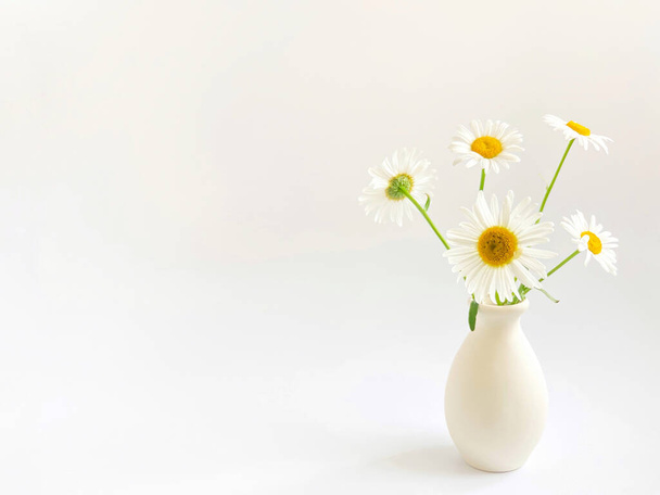 花の構成。白い背景の土の花瓶に白いデイジーと高いキー写真。プロジェクトの自然光テンプレート. - 写真・画像
