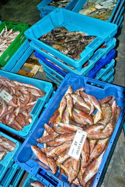 Рибні кошики на рибному ринку, риболовецькому порту, Середземному морі, Агіласі, Мурсії, регіоні Мурсія, Іспанія, Європа - Фото, зображення
