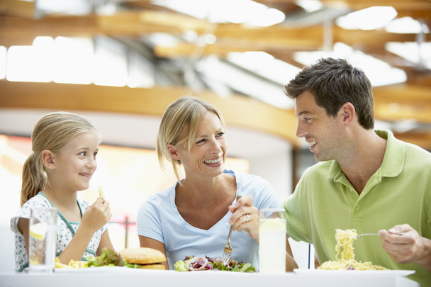 Family Having Lunch Together At The Mall - Photo, Image