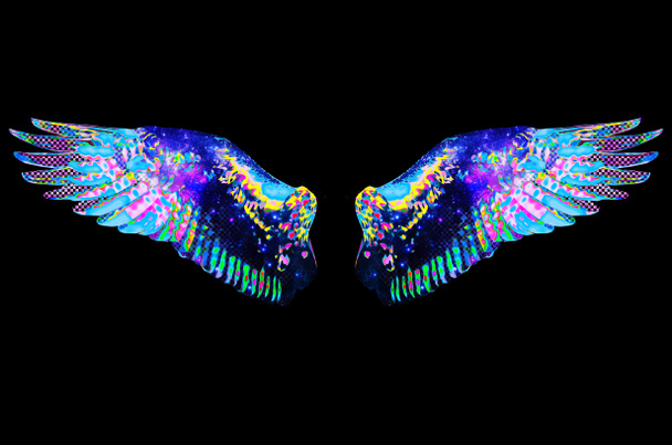 Colourful Abstract Angel Wings Isolated  - Photo, Image