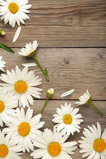 Jarní a letní heřmánek květiny na šedém dřevěném pozadí. Horní pohled - Fotografie, Obrázek