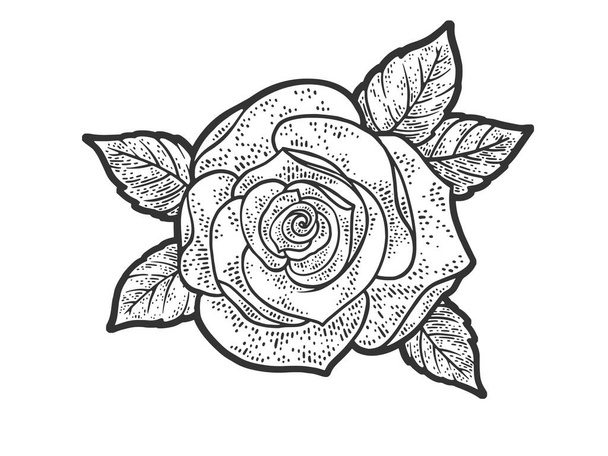 Rose flower line art sketch engraving vector illustration. T-shirt apparel print design. Scratch board imitation. Black and white hand drawn image. - Vetor, Imagem