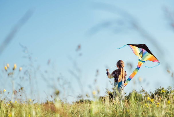 Long-haired Girl with flying a colorful kite on the high grass meadow in the mountain fields. Happy childhood moments or outdoor time spending concept image.  - Foto, afbeelding