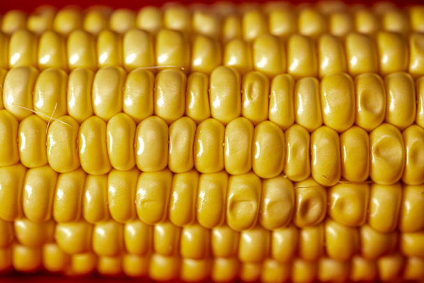 cob corn close-up. Rijp gele maïs - Foto, afbeelding
