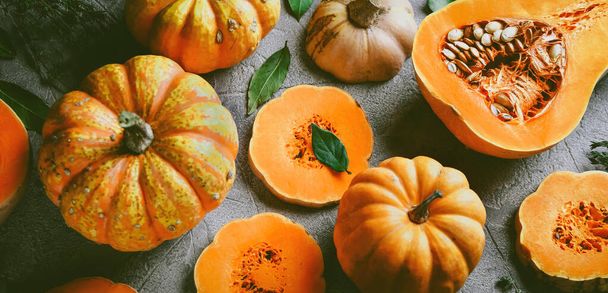 Pumpkin soup, On a gray background with pumpkins, Autumn atmosphere, Top view, Selective focus  - Foto, Imagem