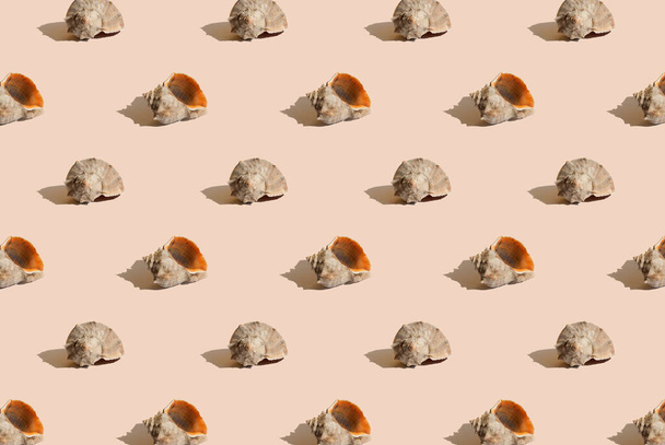 Pattern with sea shell on beige background. Minimal summer concept. Design for wrapping paper, fabrics, covers and cards. Seamless pattern for wallpaper, background and textile - Foto, immagini