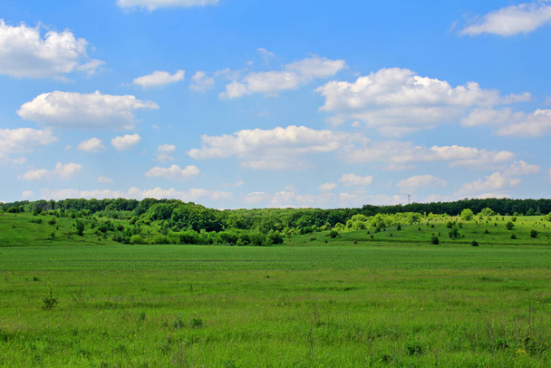 Summer rural landscape with a green plain under a cloudy sky. - Foto, Bild