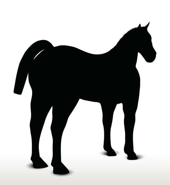 Силуэт лошади в неподвижном положении
 - Вектор,изображение