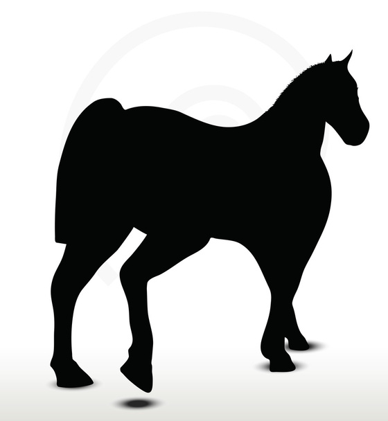 silhouette cavallo in posizione a piedi
 - Vettoriali, immagini