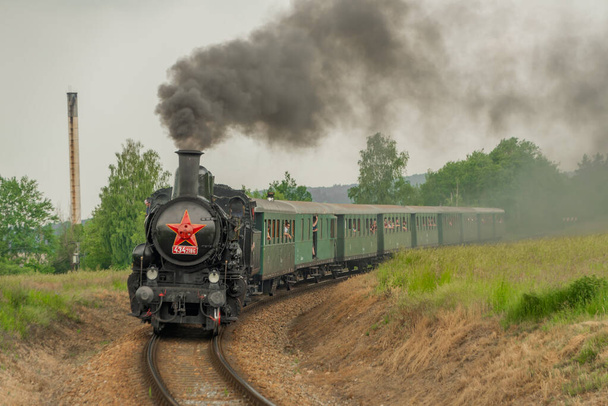 Train à vapeur près de la rivière Sazava au sud de Prague en été jour nuageux sombre - Photo, image