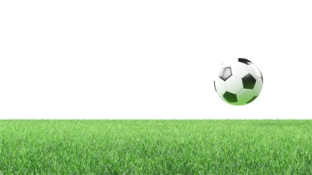 Ρεαλιστική μπάλα ποδοσφαίρου. Η ιδέα του ποδοσφαίρου. 3d looping animation - Πλάνα, βίντεο