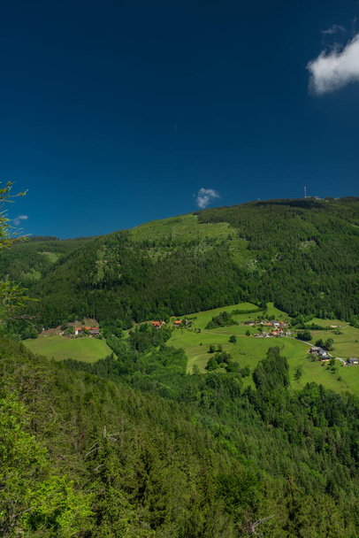 Schockl hill and Ehrenfels castle near Sankt Radegund town in summer color fresh morning - Foto, Imagen