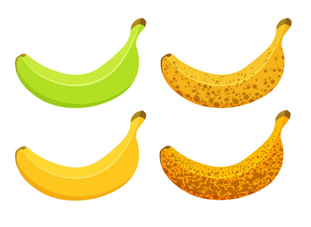 Ilustración vectorial de madurez bananera aislada sobre fondo blanco. Conjunto de plátanos de diferentes colores, verde maduro a marrón maduro. - Vector, imagen