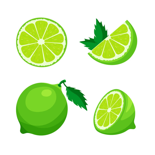 Set of fresh whole, half, cut slice of lime isolated on white background. Citrus fruit and leaves. Vegan food vector icons in a trendy cartoon style. Healthy food concept. - Vector, Image