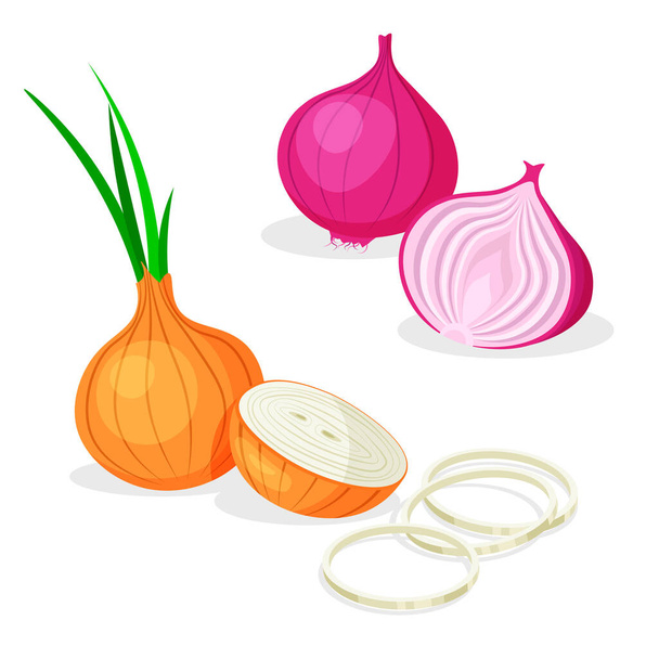 Set of whole, half, cut slice, rings and piece of onion isolated on white background. Red and white onions. Vegan food vector vegetable icons in a trendy cartoon style. Healthy food concept. - Vector, Image