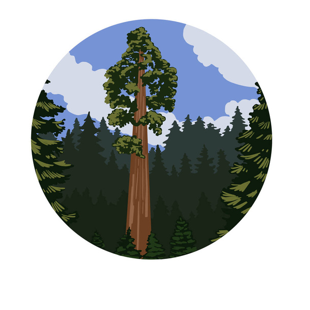 drzewa leśne krzewy trawa liście liście zieleń kreskówka projekt ilustracja. Wysokiej jakości ilustracja - Zdjęcie, obraz