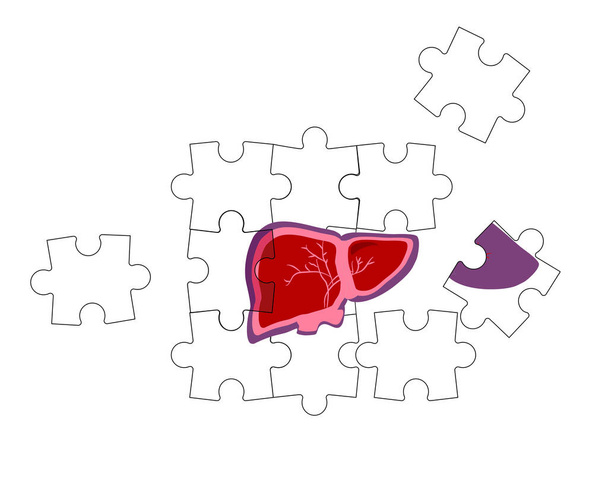 World hepatitis day. Concept of cirrhosis.Fragile and broken liver falls apart by puzzles.World hepatitis day. Organ care. Vaccinate, treat, test. Vector in line art style. Medical banner. - Vector, Image