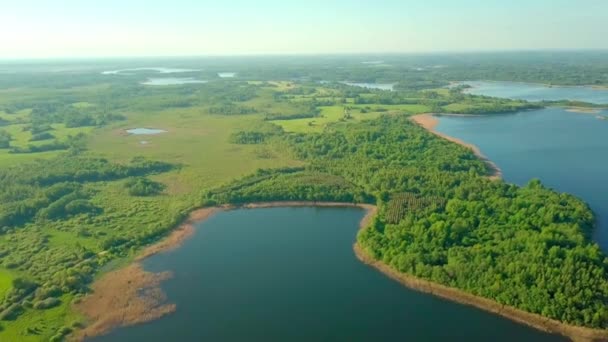 Flying over taiga forest lake. picturesque place, large lake surrounded forest - Footage, Video