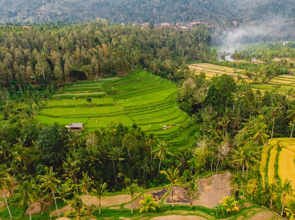 Champs de riz avec terrasses dans le centre de Bali île. Vue aérienne - Photo, image