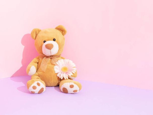 Een pasgeboren meisje concept. Schattige teddybeer zitten en houden mooie bloeiende roze gerbera bloem. Pastel paarse en pastel roze achtergrond. - Foto, afbeelding